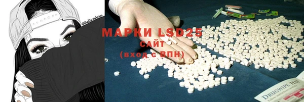 индика Михайловка