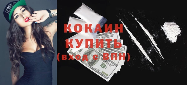 индика Михайловка