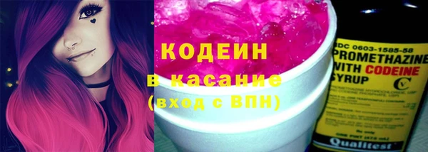 индика Михайловка
