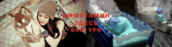 индика Михайловка