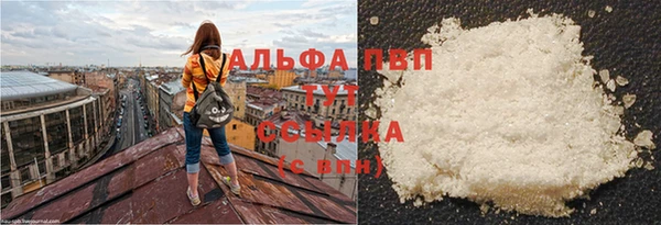 индика Михайловка