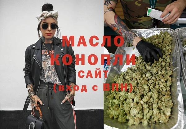 индика Михайловка