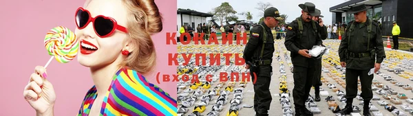 индика Михайловка