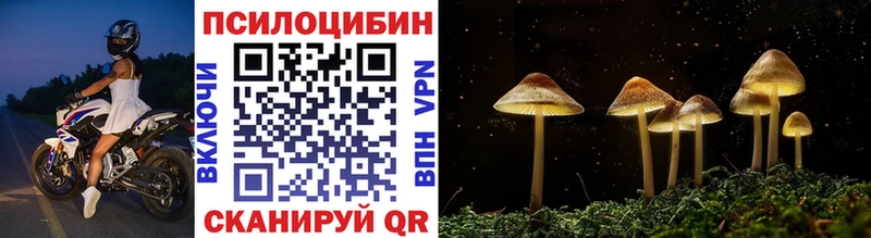 Галлюциногенные грибы Psilocybe  kraken вход  Пущино 